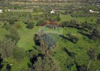 Posizione della mappa - Terreno edificabile contrada paternella
 
snc, Terrasini - foto 8