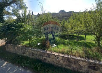 Giardino - Terreno agricolo Contrada Zagaria, Enna - foto 2