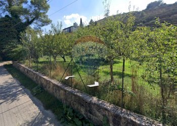 Giardino - Terreno agricolo Contrada Zagaria, Enna - foto 3