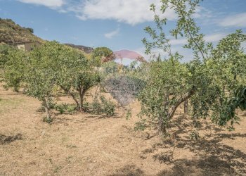 Giardino - Terreno agricolo Contrada Zagaria, Enna - foto 6