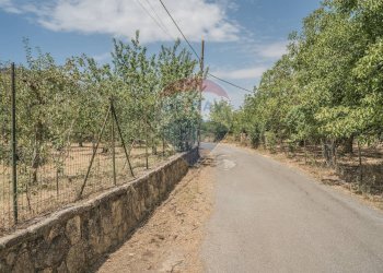 Giardino - Terreno agricolo Contrada Zagaria, Enna - foto 7