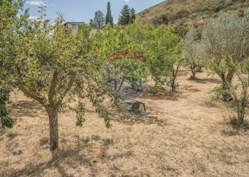 Giardino - Terreno agricolo Contrada Zagaria, Enna - foto 8