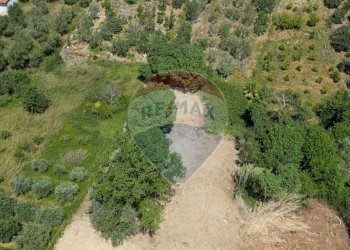 Giardino - Agricultural land CONTRADA TIMPONE, Monreale - photo 4