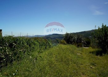 Vista delle montagne - Villa strada comunale 3 Vuturo, Enna - foto 35