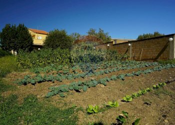 Giardino - Villa strada comunale 3 Vuturo, Enna - foto 36