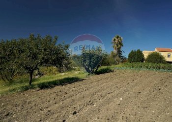 Giardino - Villa strada comunale 3 Vuturo, Enna - foto 40