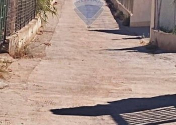 Terrazza - Terreno agricolo Contrada Paternella
 
snc, Terrasini - foto 5