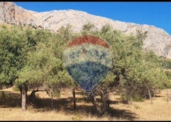 Vista delle montagne - Terreno agricolo Contrada Paternella
 
snc, Terrasini - foto 7