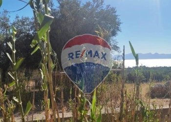 Non correlato - Terreno agricolo Contrada Paternella
 
snc, Terrasini - foto 10