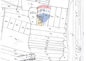 Pianta 2D - Terreno agricolo Contrada Paternella
 
snc, Terrasini - foto 12