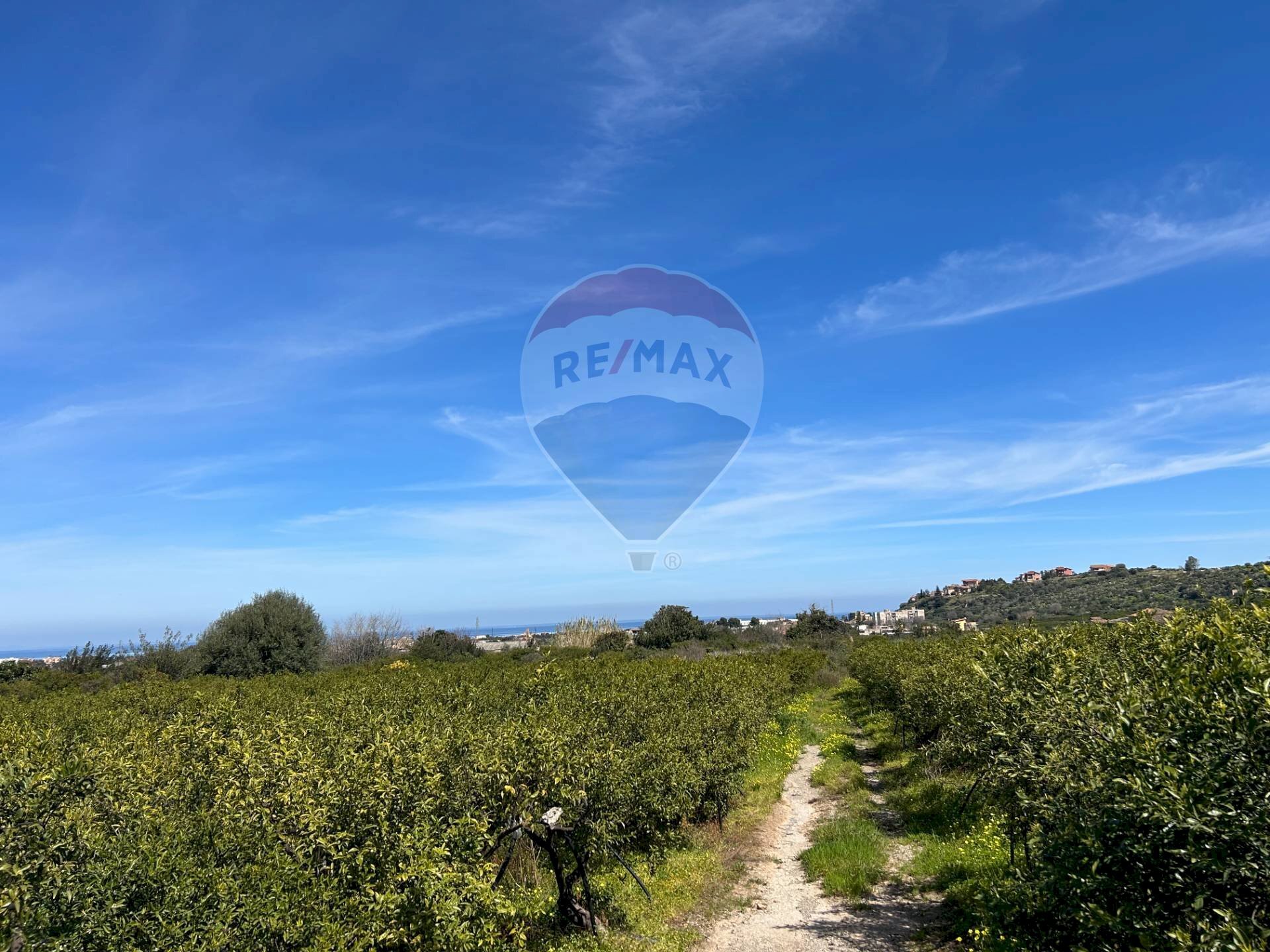 Vista delle montagne - Terreno agricolo Vicolo Rappallo, Palermo - foto 2