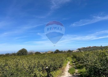 Vista delle montagne - Terreno agricolo Vicolo Rappallo, Palermo - foto 2