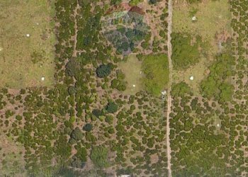 Posizione della mappa - Terreno agricolo Vicolo Rappallo, Palermo - foto 6