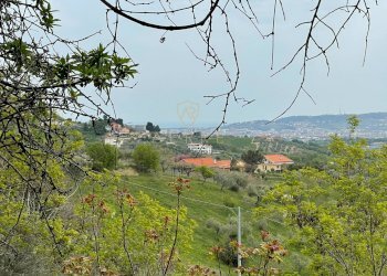 Foto 3 - Terreno edificabile Strada Vicinale Palmerini, Montesilvano - foto 3