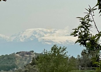 Foto 2 - Terreno edificabile Strada Vicinale Palmerini, Montesilvano - foto 2