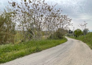 Foto 7 - Terreno edificabile Strada Vicinale Palmerini, Montesilvano - foto 7