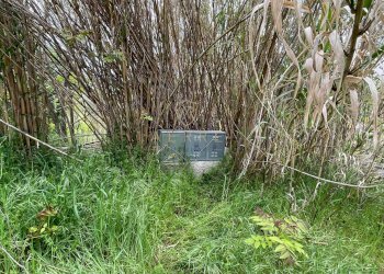 Foto 10 - Terreno edificabile Strada Vicinale Palmerini, Montesilvano - foto 10