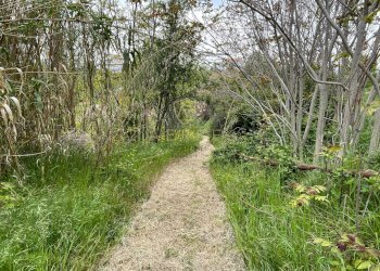 Foto 8 - Terreno edificabile Strada Vicinale Palmerini, Montesilvano - foto 8