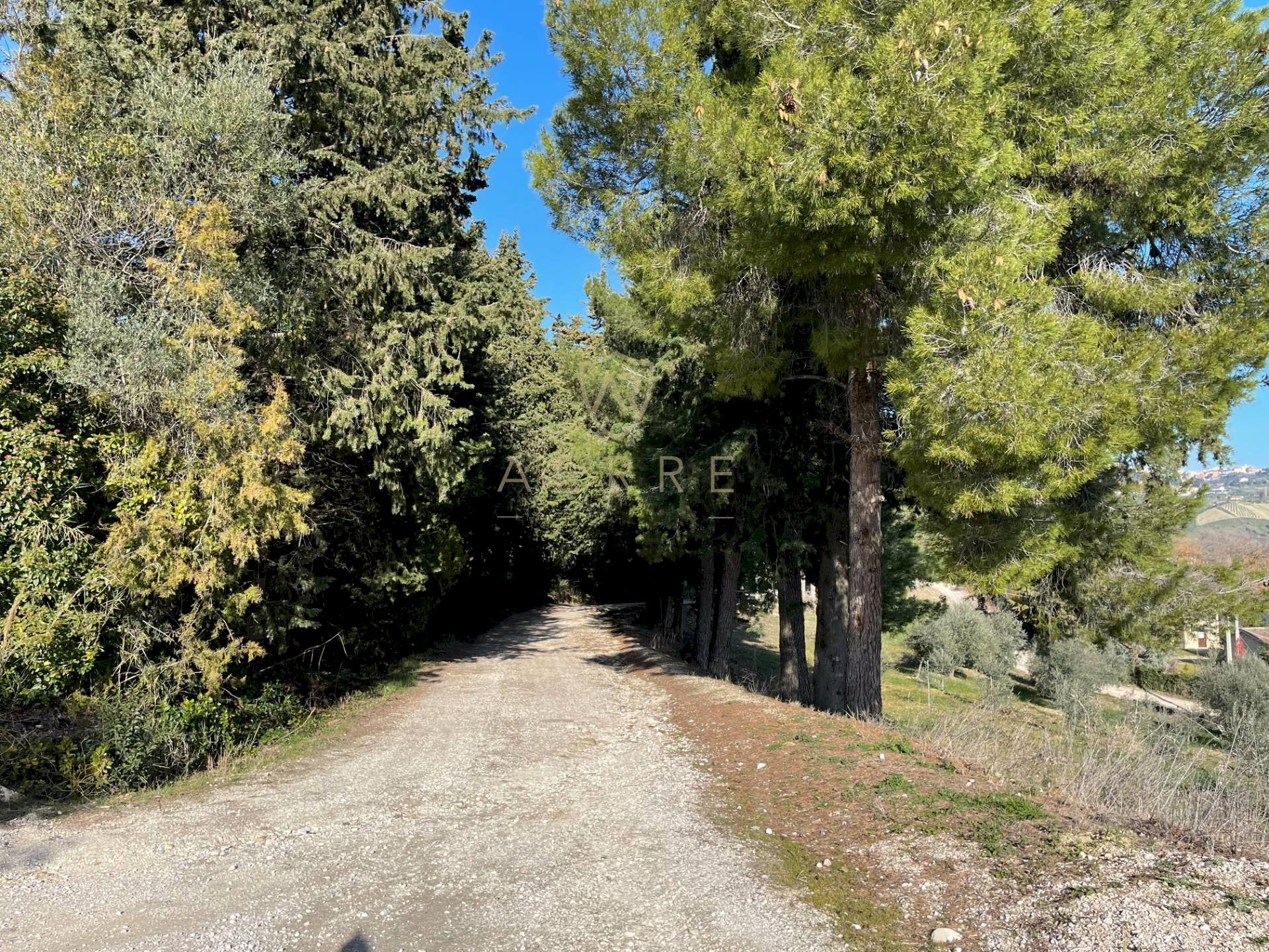 Foto 3 - Terreno edificabile C.da Colle Cucco, Bucchianico - foto 3