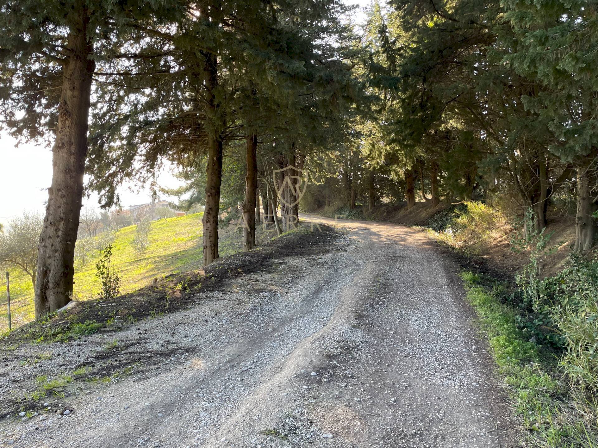 Foto 1 - Terreno edificabile C.da Colle Cucco, Bucchianico - foto 1