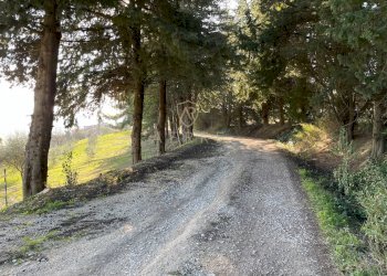 Foto 1 - Terreno edificabile C.da Colle Cucco, Bucchianico - foto 1