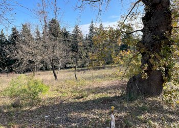 Foto 2 - Terreno edificabile C.da Colle Cucco, Bucchianico - foto 2