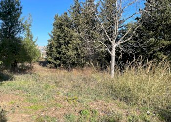 Foto 7 - Terreno edificabile C.da Colle Cucco, Bucchianico - foto 7