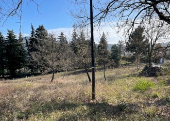 Foto 4 - Terreno edificabile C.da Colle Cucco, Bucchianico - foto 4