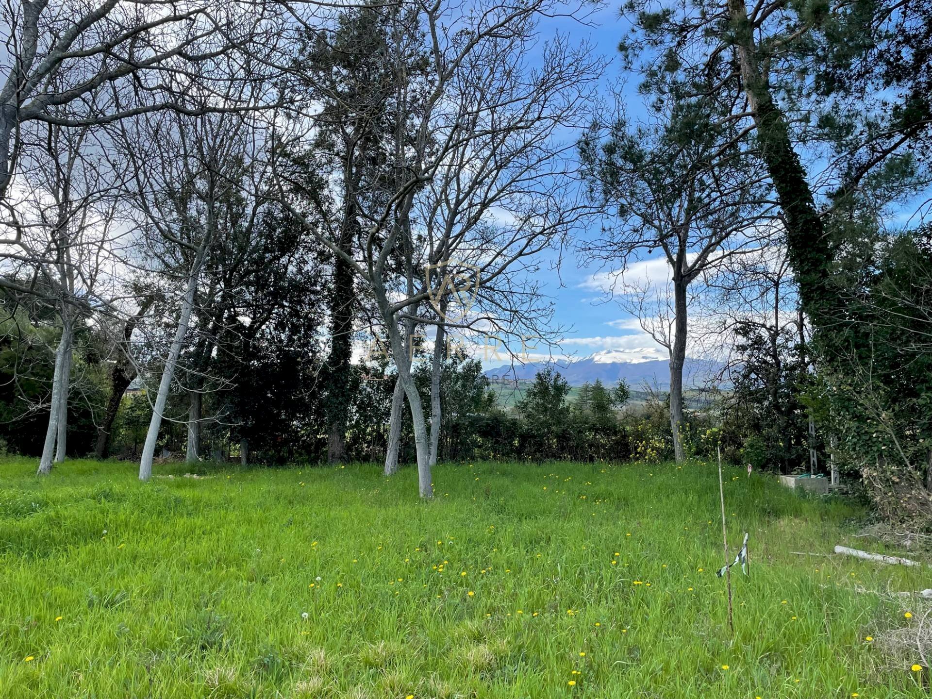 Foto 1 - Building land Via Elsa Morante, Cepagatti - photo 1