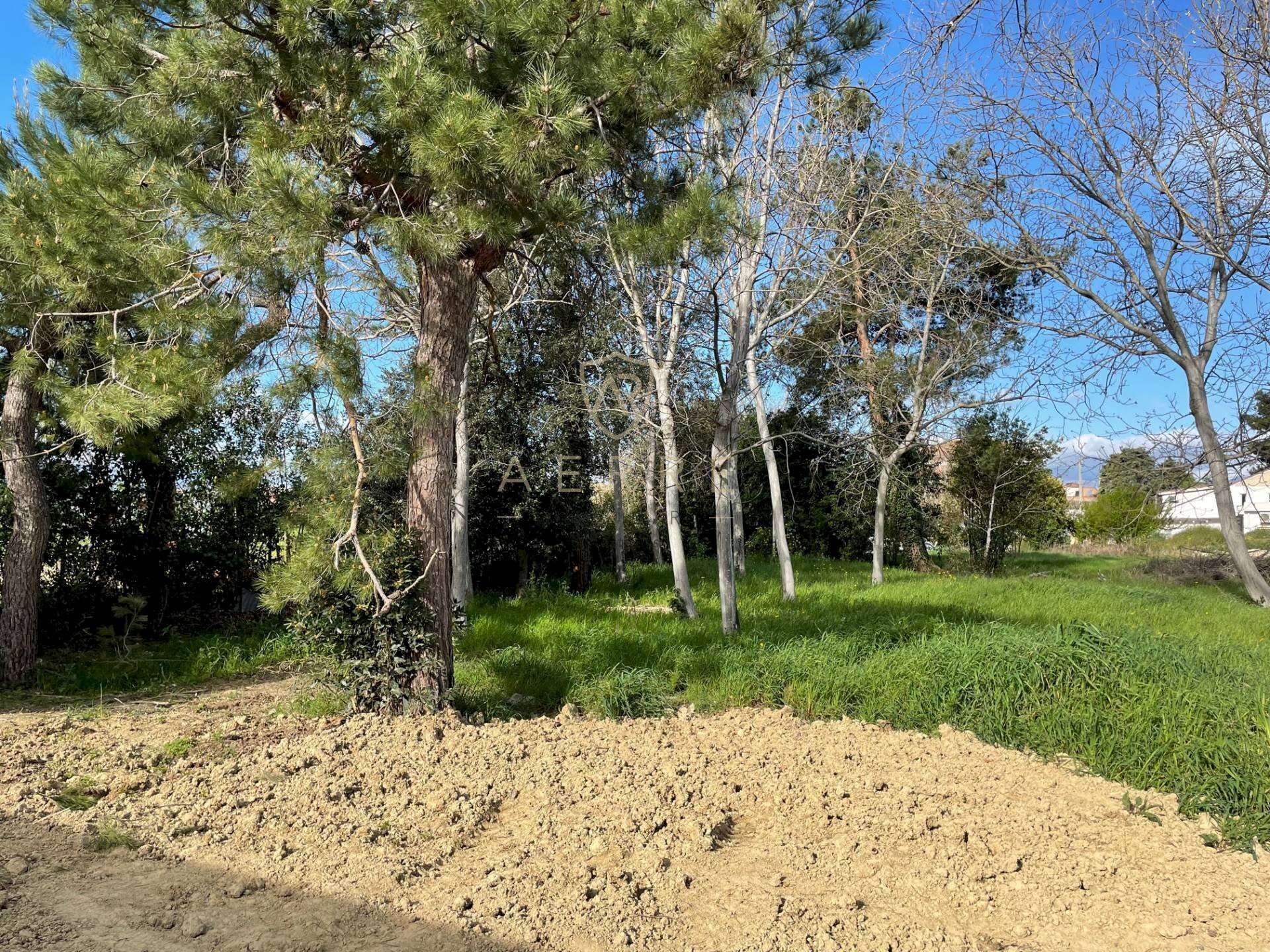 Foto 3 - Building land Via Elsa Morante, Cepagatti - photo 3