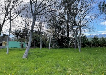 Foto 7 - Terreno edificabile Via Elsa Morante, Cepagatti - foto 7