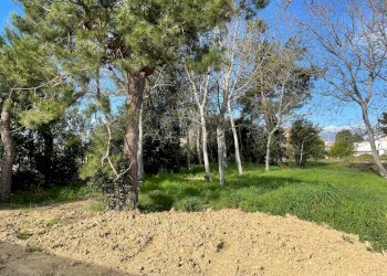 Foto 3 - Terreno edificabile Via Elsa Morante, Cepagatti - foto 3