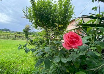 Foto 4 - Casa indipendente Contrada Maiure
 
55, Vacri - foto 4