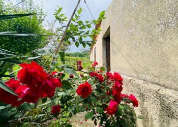 Foto 14 - Casa indipendente Contrada Maiure
 
55, Vacri - foto 14