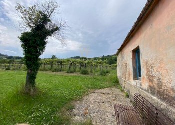 Foto 9 - Casa indipendente Contrada Maiure
 
55, Vacri - foto 9