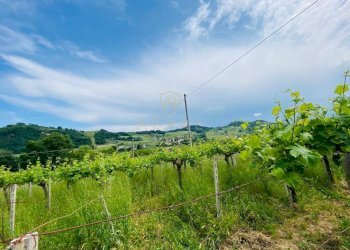 Foto 13 - Casa indipendente Contrada Maiure
 
55, Vacri - foto 13