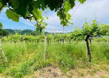 Foto 20 - Casa indipendente Contrada Maiure
 
55, Vacri - foto 20