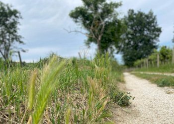 Foto 19 - Casa indipendente Contrada Maiure
 
55, Vacri - foto 19
