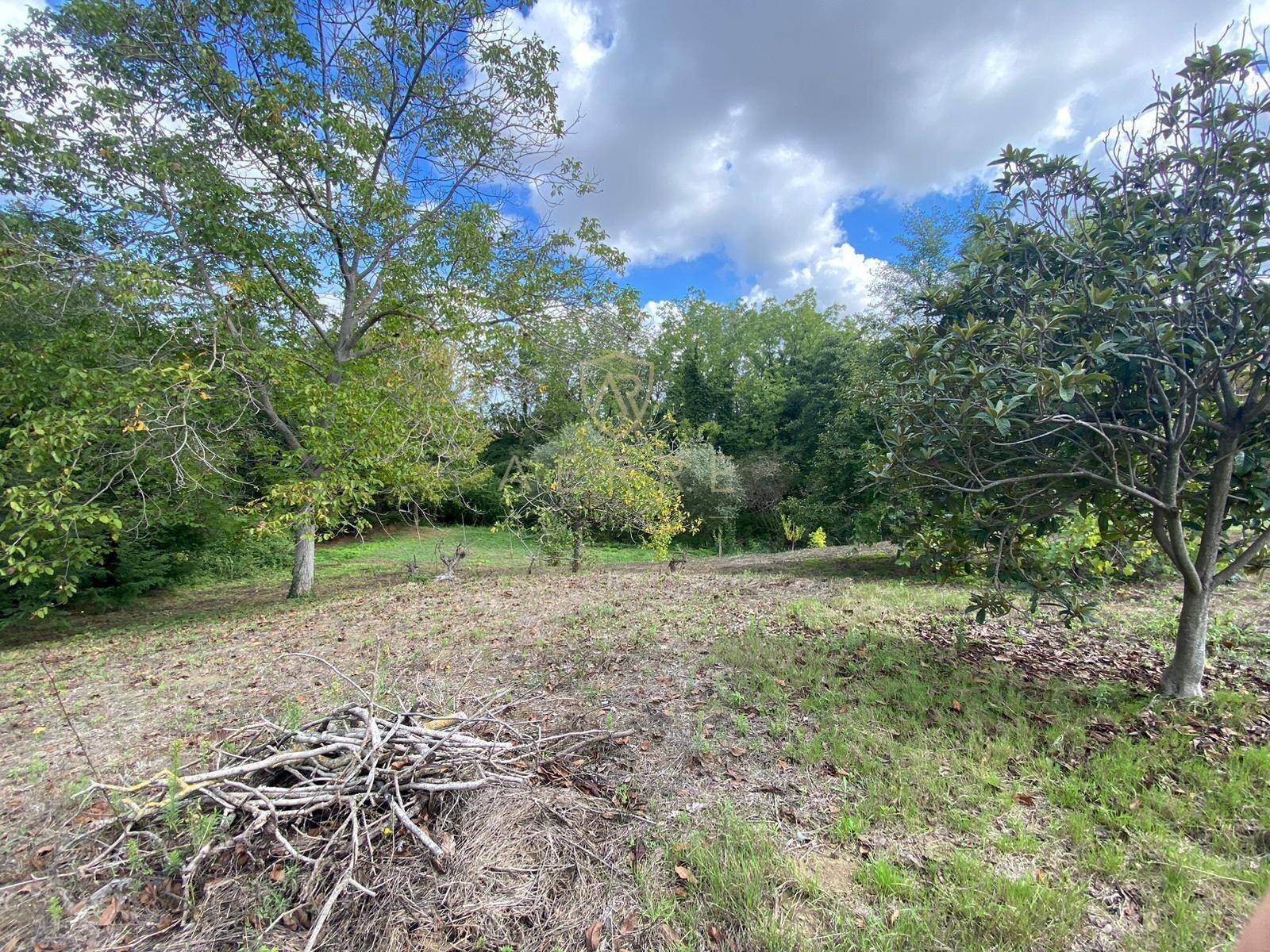 Foto 2 - Agricultural land Via Giovanni Verga, Cepagatti - photo 2