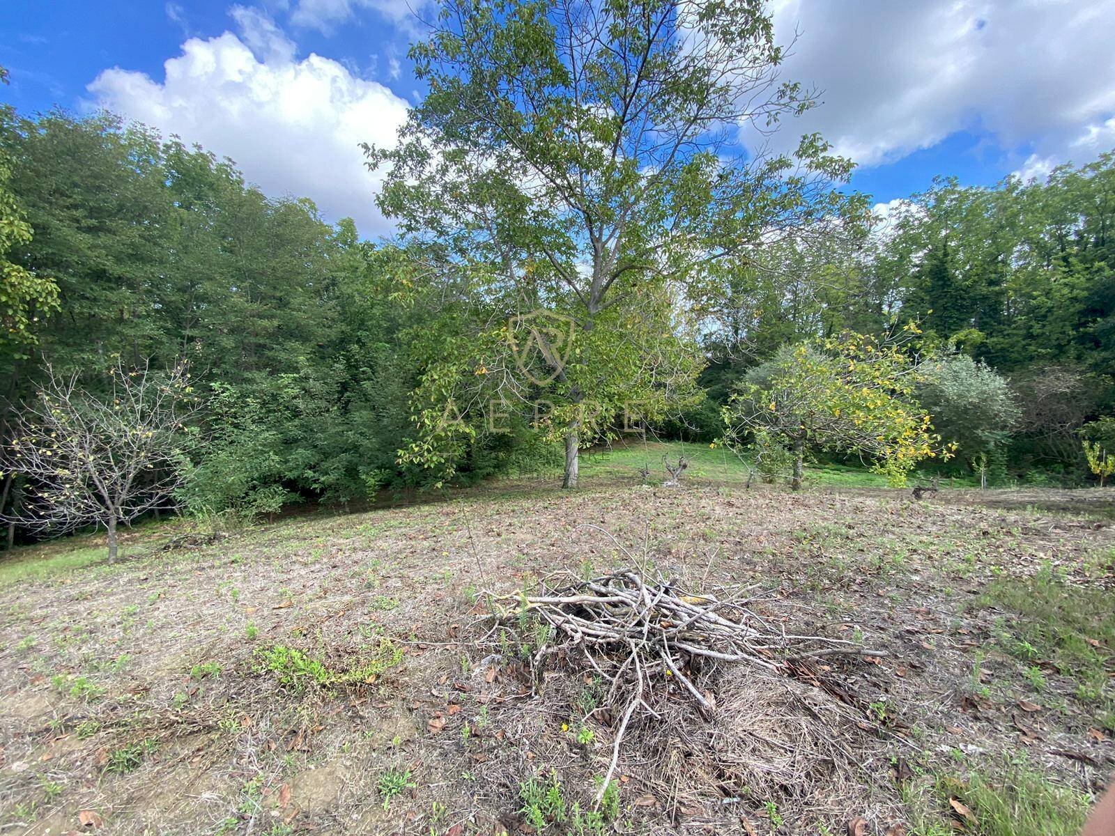 Foto 3 - Agricultural land Via Giovanni Verga, Cepagatti - photo 3