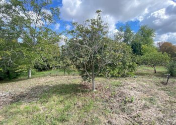 Foto 4 - Agricultural land Via Giovanni Verga, Cepagatti - photo 4