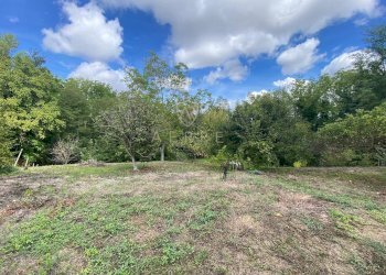 Foto 5 - Agricultural land Via Giovanni Verga, Cepagatti - photo 5