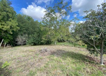 Foto 7 - Agricultural land Via Giovanni Verga, Cepagatti - photo 7