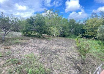 Foto 8 - Agricultural land Via Giovanni Verga, Cepagatti - photo 8