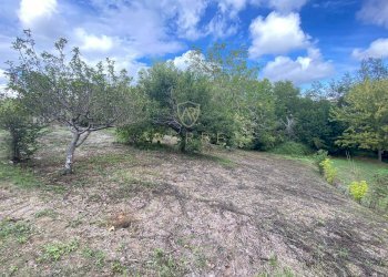 Foto 9 - Agricultural land Via Giovanni Verga, Cepagatti - photo 9