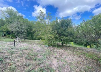 Foto 10 - Agricultural land Via Giovanni Verga, Cepagatti - photo 10