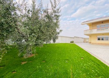 Foto 24 - Casa semi indipendente Contrada Arenaro
 
13, Francavilla al Mare - foto 24