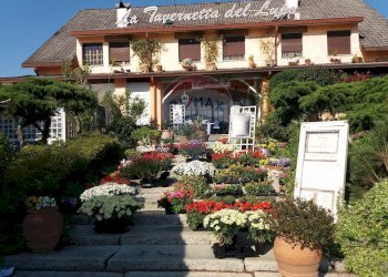 Casa all\'aperto - Hotel Piazza Maria Pallini, sorbolo levante
 
1, Brescello - photo 1