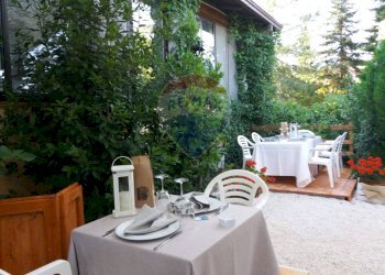 Terrazza - Hotel Piazza Maria Pallini, sorbolo levante
 
1, Brescello - photo 16