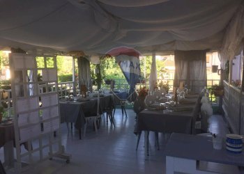 Terrazza - Hotel Piazza Maria Pallini, sorbolo levante
 
1, Brescello - photo 48